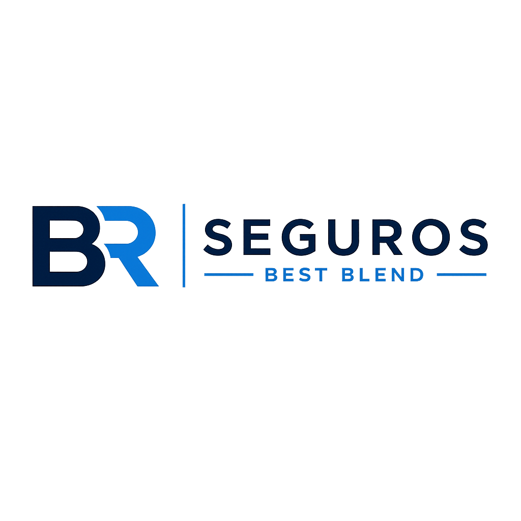 BR Seguros